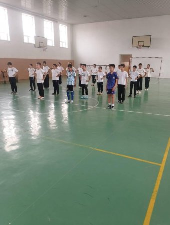 Дене шынықтыру пәнінен апталық